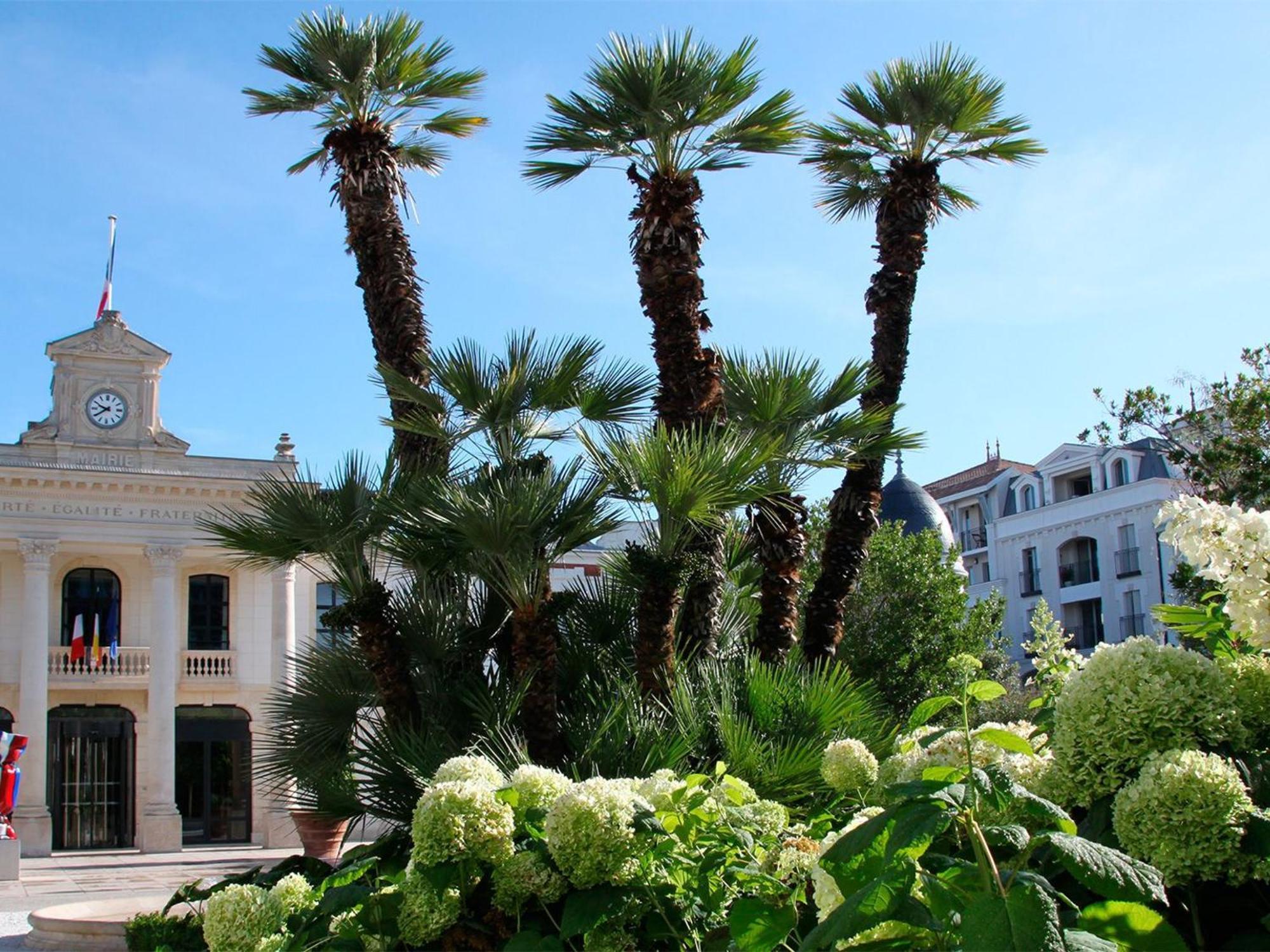 Appartement Proche Plage & Casino Avec Balcon Et Parking Prive, Arcachon - Fr-1-319-110 Ngoại thất bức ảnh
